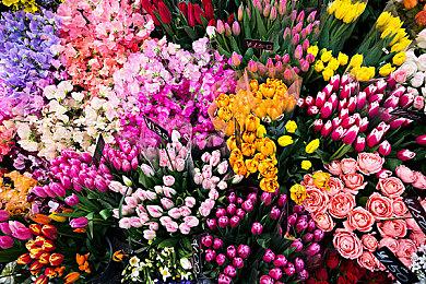 《罪恶装备Strive》公布新DLC角色 HAPPY CHAOS